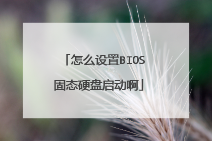 怎么设置BIOS固态硬盘启动啊