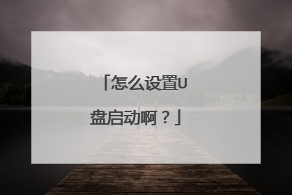 怎么设置U盘启动啊？