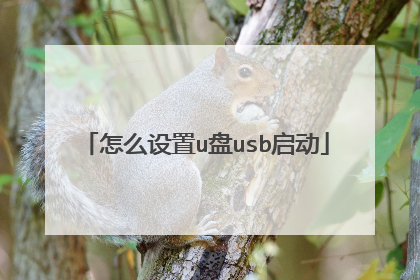 怎么设置u盘usb启动