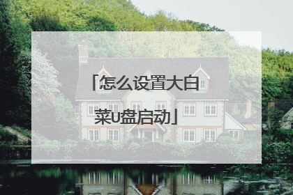 怎么设置大白菜U盘启动