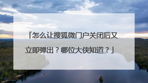 怎么让搜狐微门户关闭后又立即弹出?哪位大侠知道?