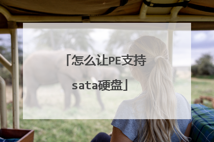 怎么让PE支持sata硬盘