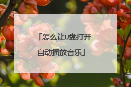 怎么让U盘打开自动播放音乐