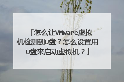 怎么让VMware虚拟机检测到U盘?怎么设置用U盘来启动虚拟机?