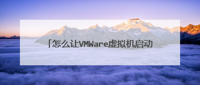 怎么让VMWare虚拟机启动U盘PE?求远程协助~~~