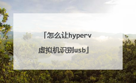 怎么让hyperv虚拟机识别usb