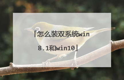 怎么装双系统win8.1和win10