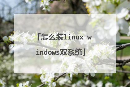 怎么装linux windows双系统