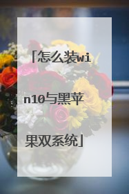 怎么装win10与黑苹果双系统