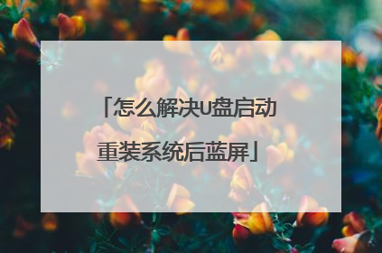 怎么解决U盘启动重装系统后蓝屏