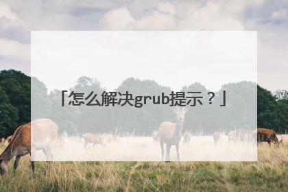 怎么解决grub提示?