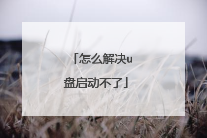 怎么解决u盘启动不了