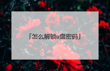 怎么解锁u盘密码