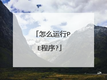 怎么运行PE程序?