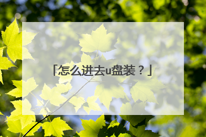 怎么进去u盘装？