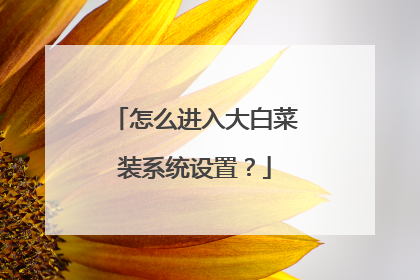 怎么进入大白菜装系统设置?