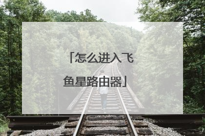 怎么进入飞鱼星路由器