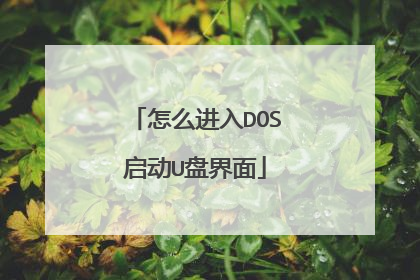 怎么进入DOS启动U盘界面