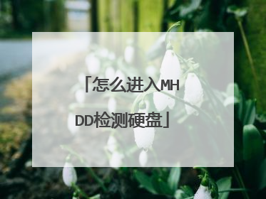 怎么进入MHDD检测硬盘