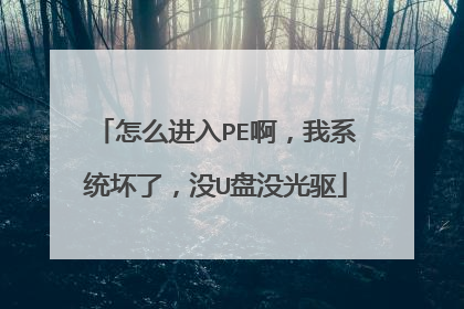 怎么进入PE啊,我系统坏了,没U盘没光驱