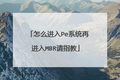 怎么进入Pe系统再进入MBR请指教