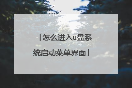 怎么进入u盘系统启动菜单界面