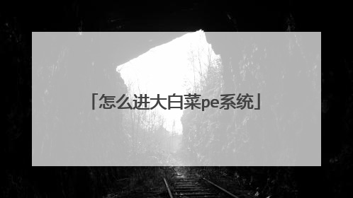 怎么进大白菜pe系统