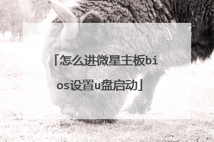 怎么进微星主板bios设置u盘启动