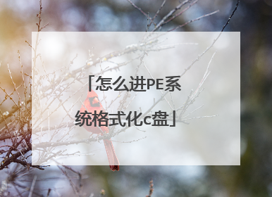 怎么进PE系统格式化c盘