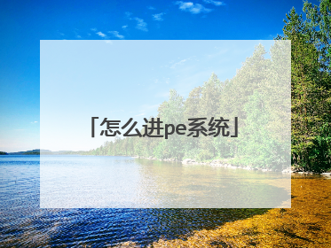 怎么进pe系统