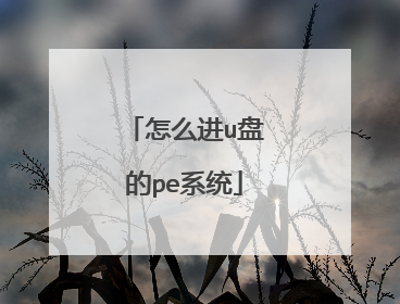 怎么进u盘的pe系统