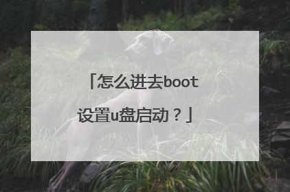 怎么进去boot设置u盘启动？
