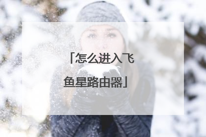 怎么进入飞鱼星路由器