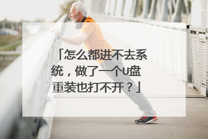 怎么都进不去系统,做了一个U盘重装也打不开?