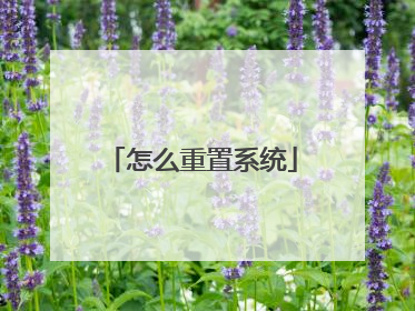 怎么重置系统