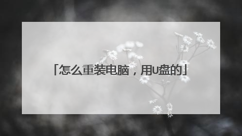 怎么重装电脑,用U盘的