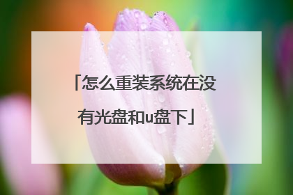 怎么重装系统在没有光盘和u盘下