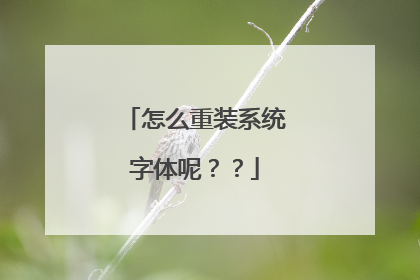 怎么重装系统字体呢??