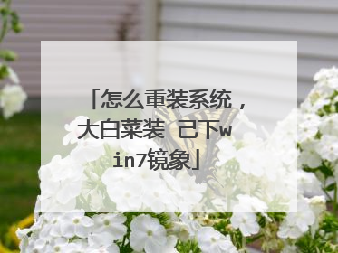 怎么重装系统,大白菜装 己下win7镜象