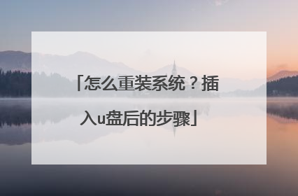 怎么重装系统？插入u盘后的步骤