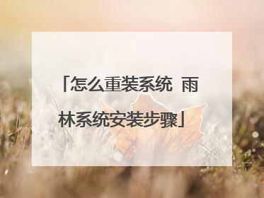 怎么重装系统 雨林系统安装步骤