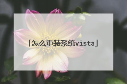 怎么重装系统vista