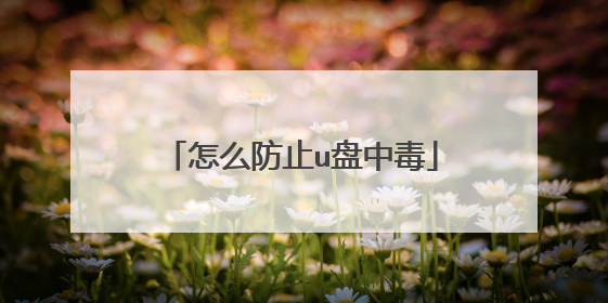 怎么防止u盘中毒