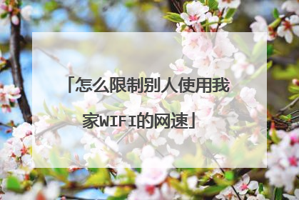 怎么限制别人使用我家WIFI的网速