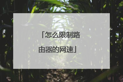 怎么限制路由器的网速