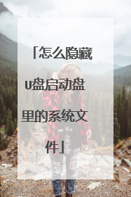 怎么隐藏U盘启动盘里的系统文件