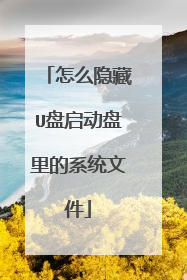 怎么隐藏U盘启动盘里的系统文件