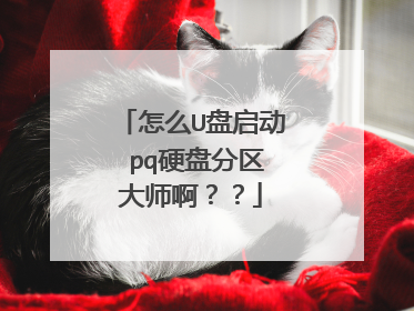 怎么U盘启动 pq硬盘分区大师啊??