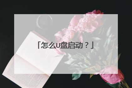 怎么U盘启动？