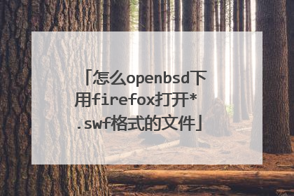 怎么openbsd下用firefox打开*.swf格式的文件